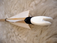 arrow with plastic nock